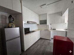 Blk 123 Mcnair Spring (Kallang/Whampoa), HDB 3 Rooms #584536291